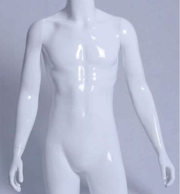 Buste Torso Homme avec bras blanc mat