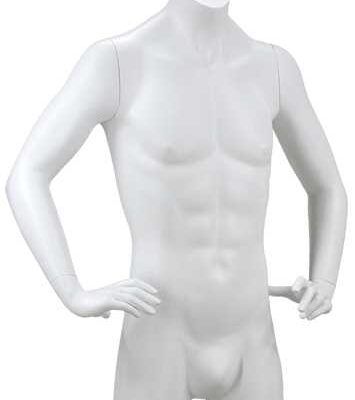 Buste torso homme mains hanches