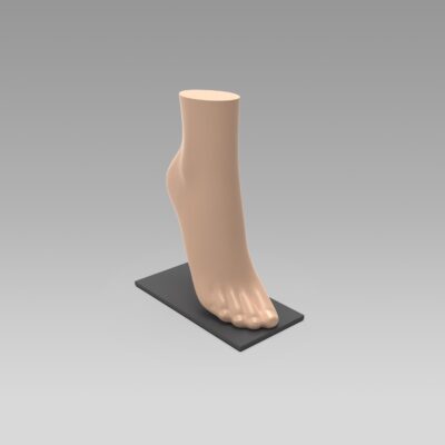 Présentoir Cheville basse Femme Coloris chair