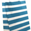 Sac papier kraft Turquoise L24xP12xH31 cm