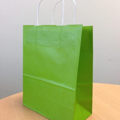 Sac papier kraft Vert L18xP8xH24 cm x50