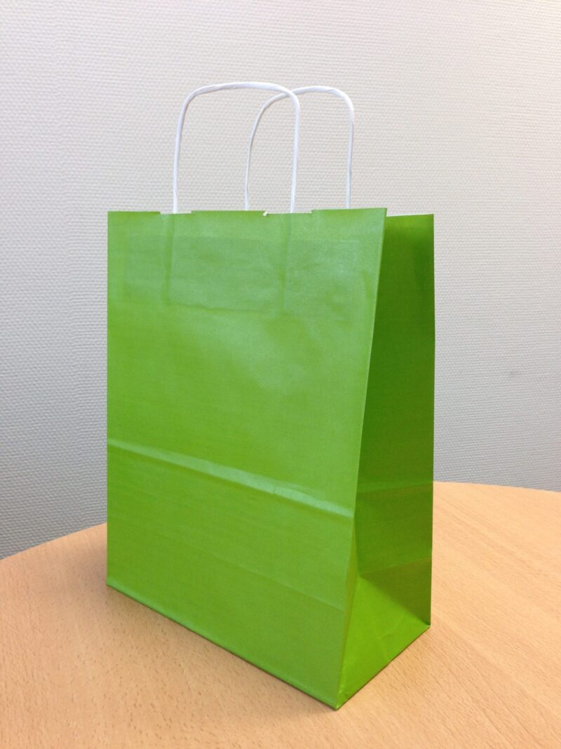 Sac papier kraft Vert L18xP8xH24 cm x50