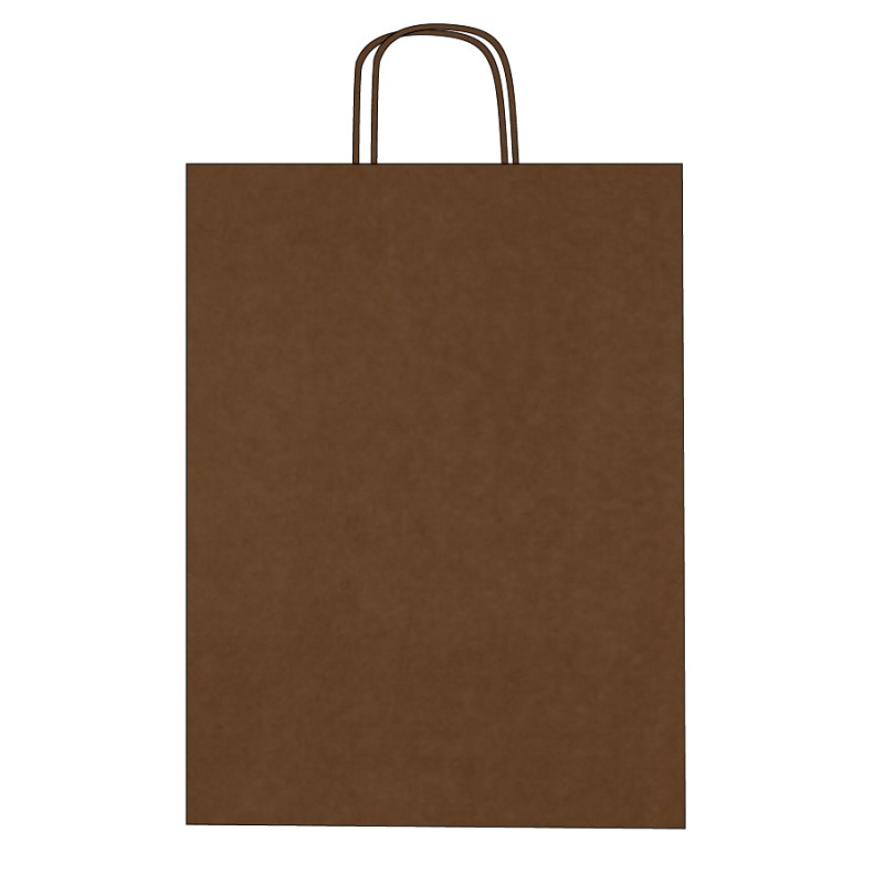 Sacs kraft colorés à poignées torsadées – Impression personnalisée
