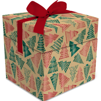 Boîte cadeau Noël sapins kraft x25 – 2 tailles disponibles